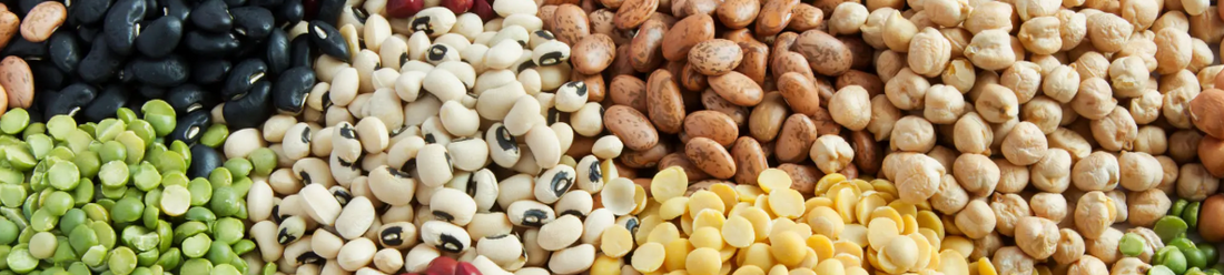 The Fiber First Approach: Why This Nutrient is Your Gut's Best Friend (and More!)